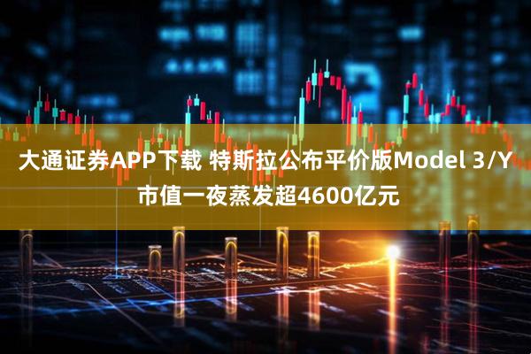 大通证券APP下载 特斯拉公布平价版Model 3/Y 市值一夜蒸发超4600亿元