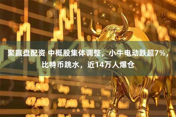 聚赢盘配资 中概股集体调整，小牛电动跌超7%，比特币跳水，近14万人爆仓