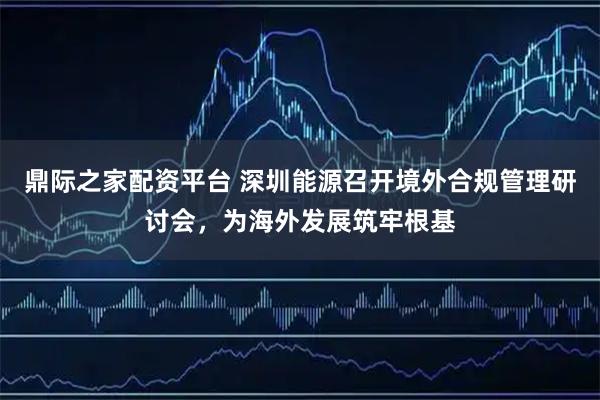 鼎际之家配资平台 深圳能源召开境外合规管理研讨会，为海外发展筑牢根基