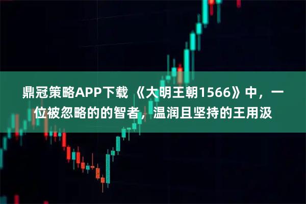 鼎冠策略APP下载 《大明王朝1566》中，一位被忽略的的智者，温润且坚持的王用汲